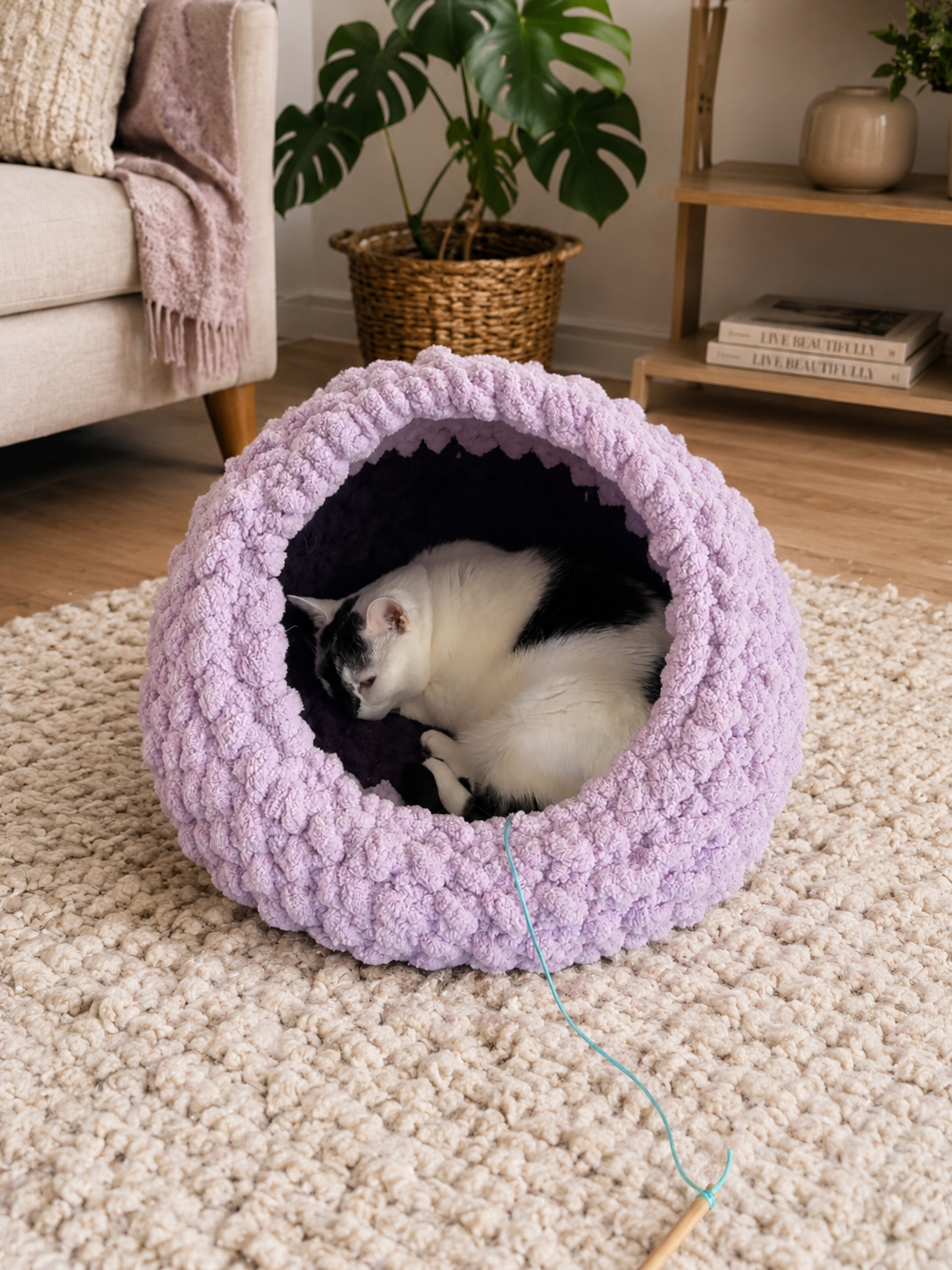 Pet Collection